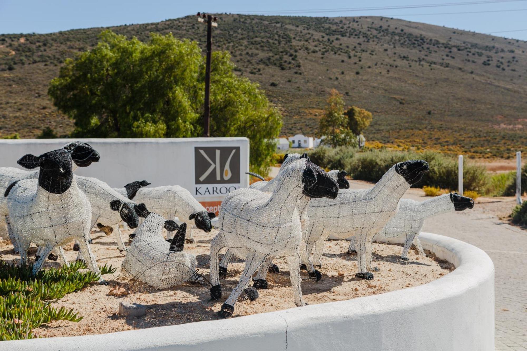 Karoo 1 Hotel Village De Doorns Extérieur photo